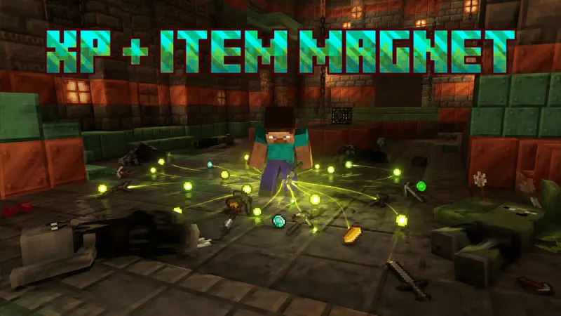 XP + Item Magnet Addon pic 2