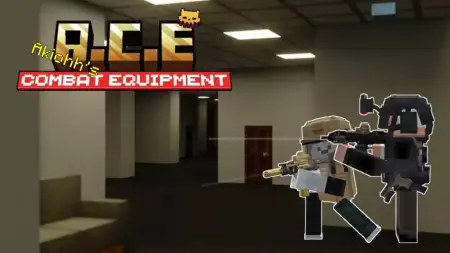 Combat Equipment (Weapon Pack) Addon pic 1