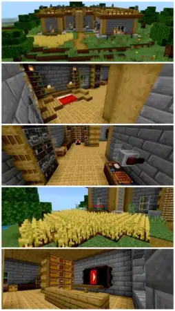 Classic Starter House Map pic 2