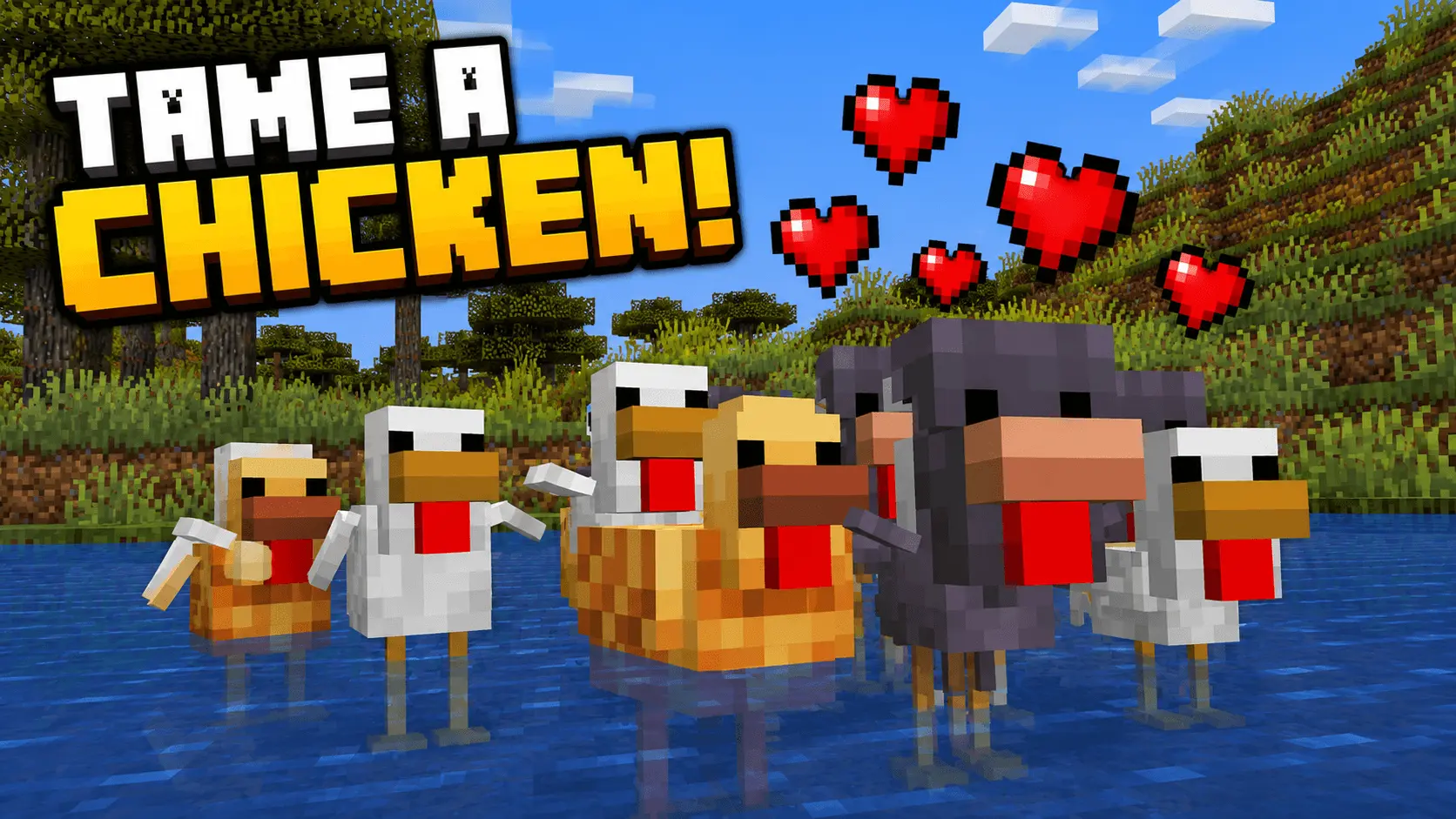 Tame A Chicken! Addon pic 3