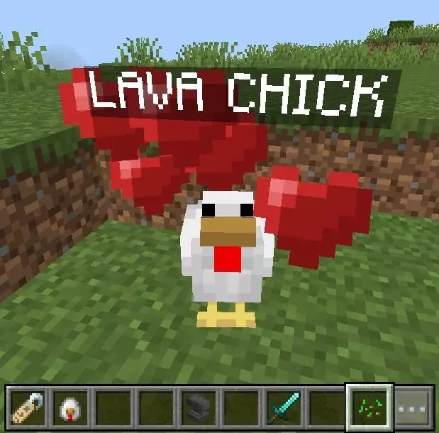 Tame A Chicken! Addon pic 4