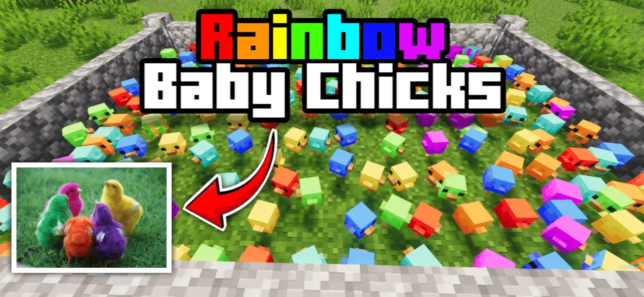 Rainbow Baby Chicks Addon pic 7