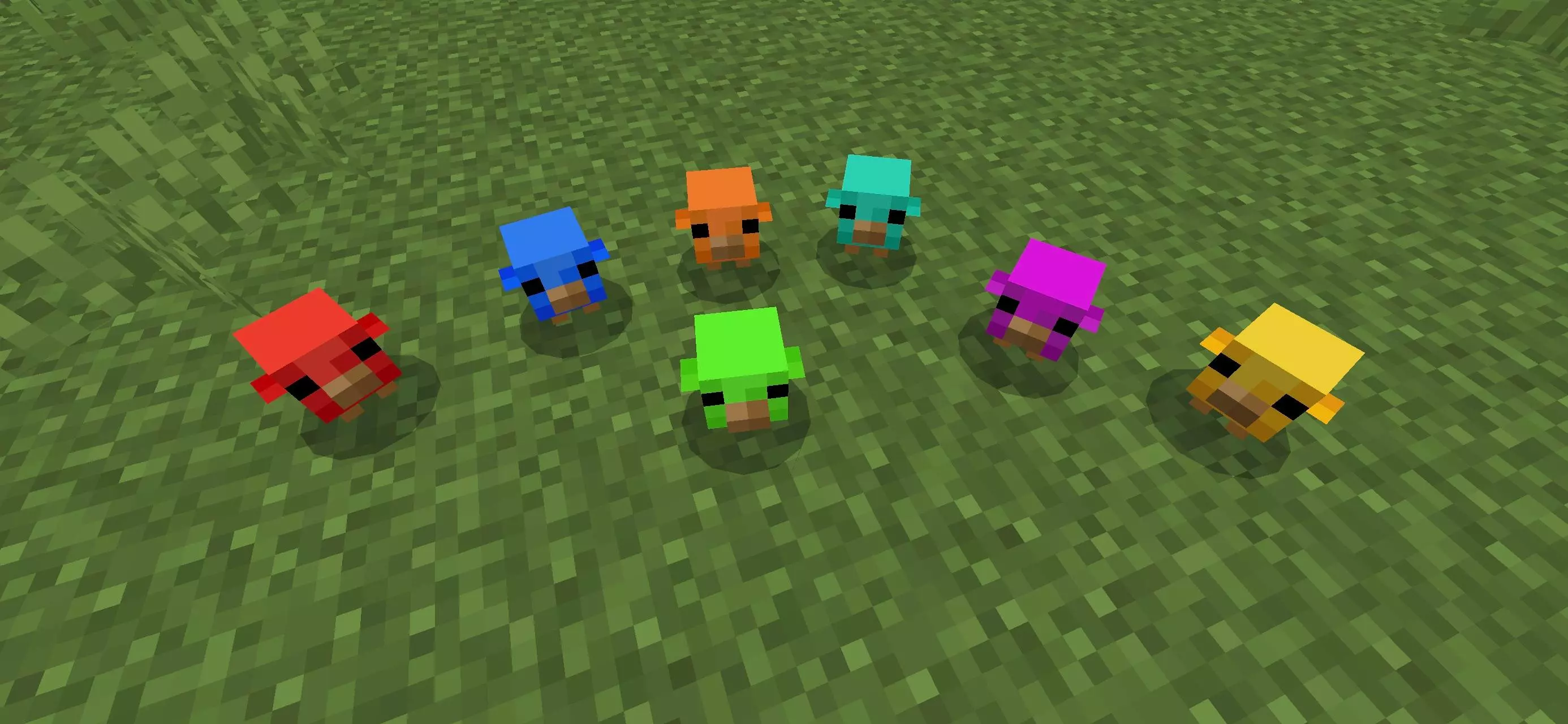 Rainbow Baby Chicks Addon pic 8