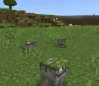 Exotics Addon pic 7