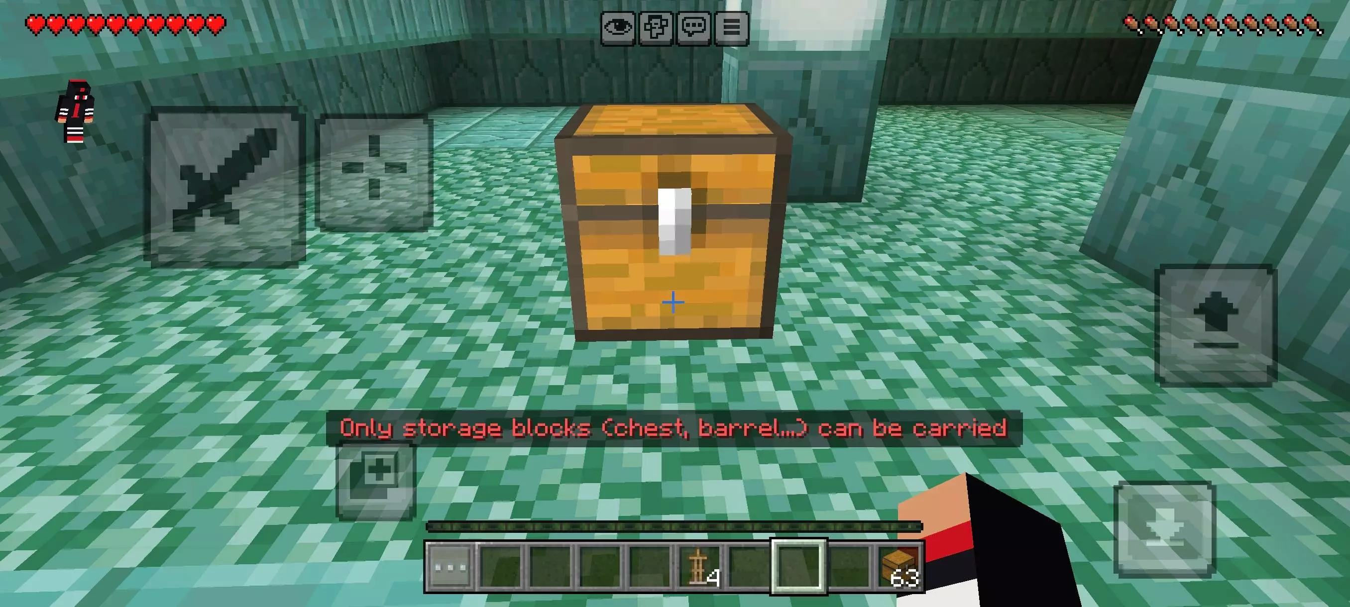 CHEST CARRIER Addon pic 7
