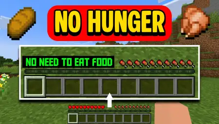 No Hunger - Infinite Hunger Addon pic 1
