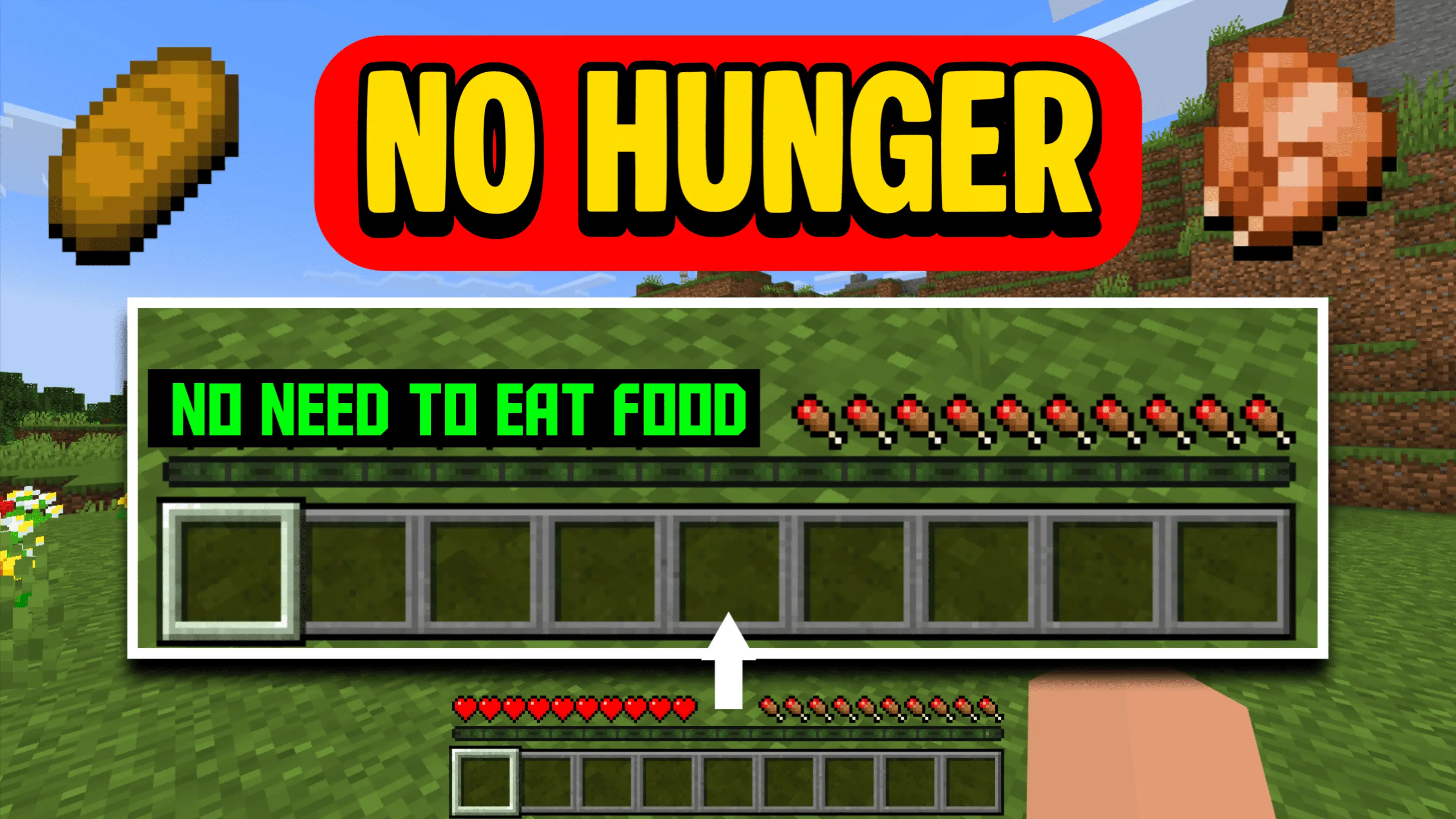 No Hunger - Infinite Hunger Addon pic 2