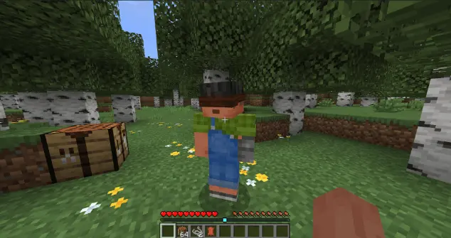 Blindfold Addon pic 7