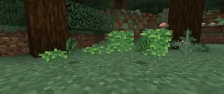Farmer's Pizzeria Addon pic 3