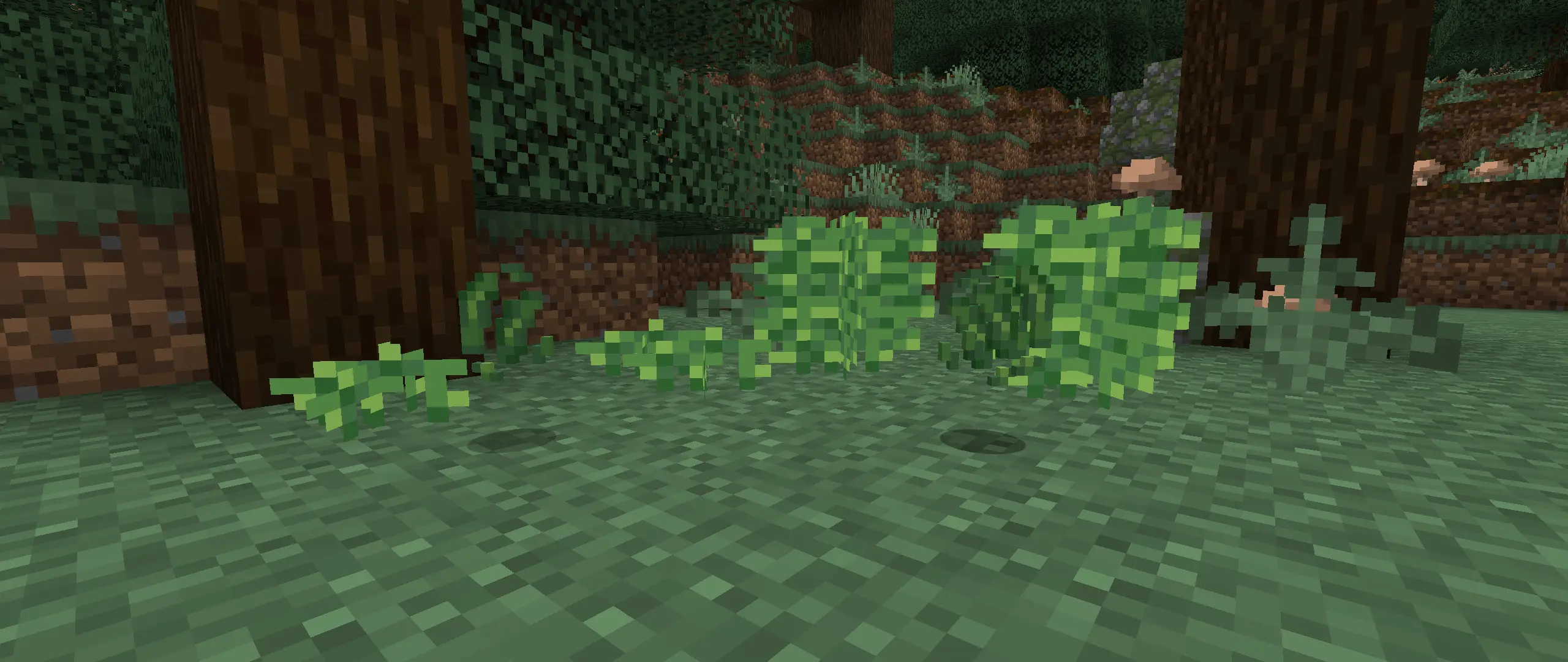 Farmer's Pizzeria Addon pic 7