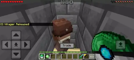 Villager Manager Addon pic 4