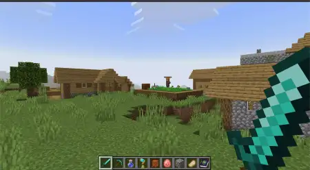 Zoom Lite Addon pic 3