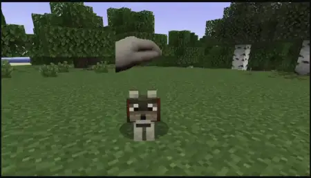 PatPat Addon pic 2