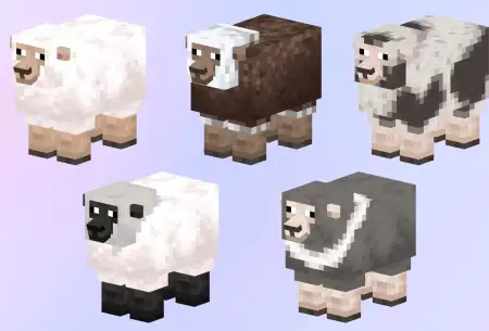 Prettier Sheep – Addon / Texture Pack pic 4