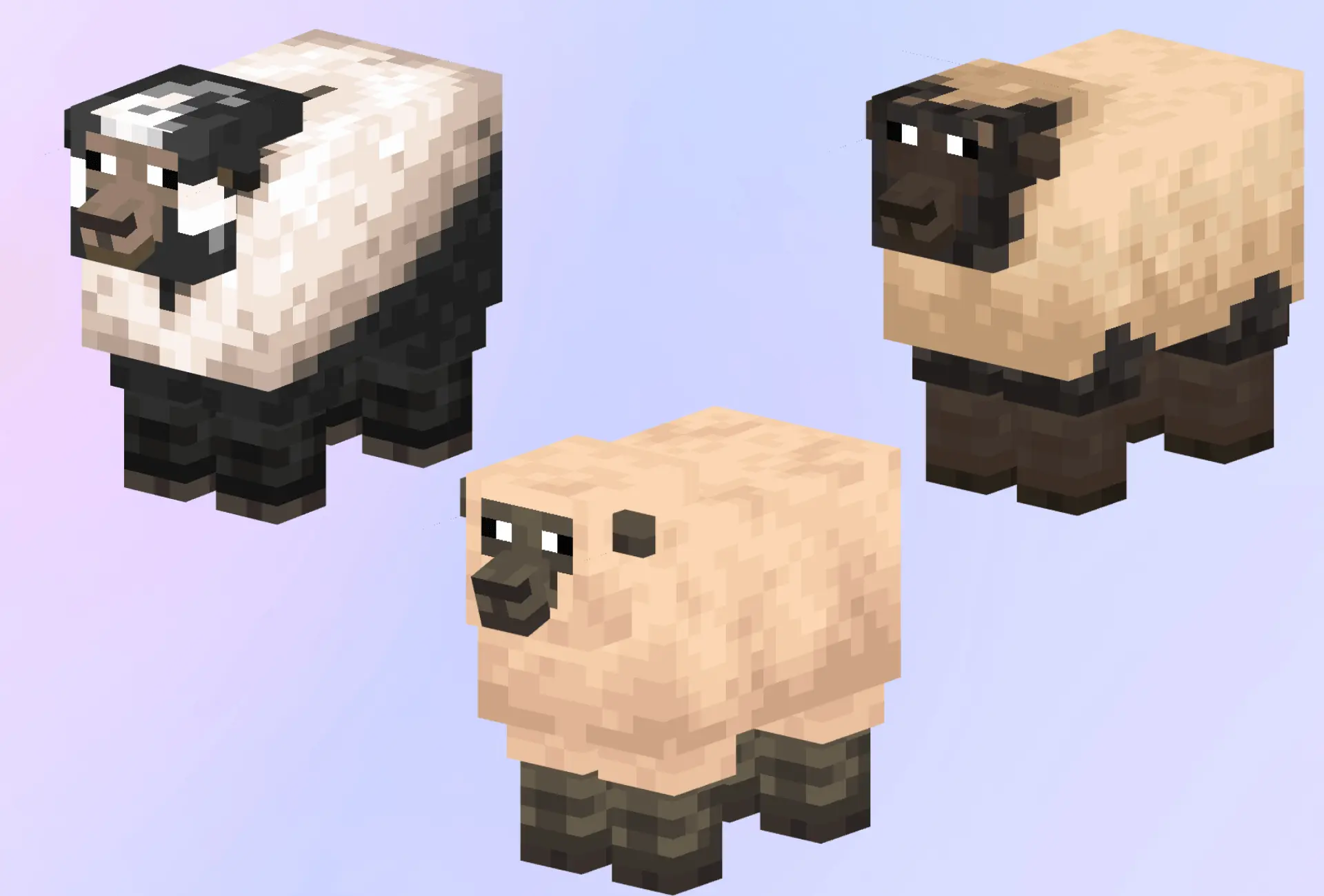 Prettier Sheep – Addon / Texture Pack pic 7