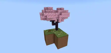 AM SKYBLOCK MAP pic 3